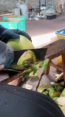 Islamic Video | Islamic Short  | Whatsapp Status