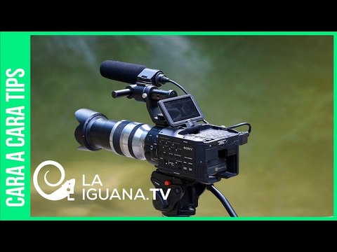 ¿Cuál será el rol de los medios de comunicación dentro de la Ciudad Comunal?