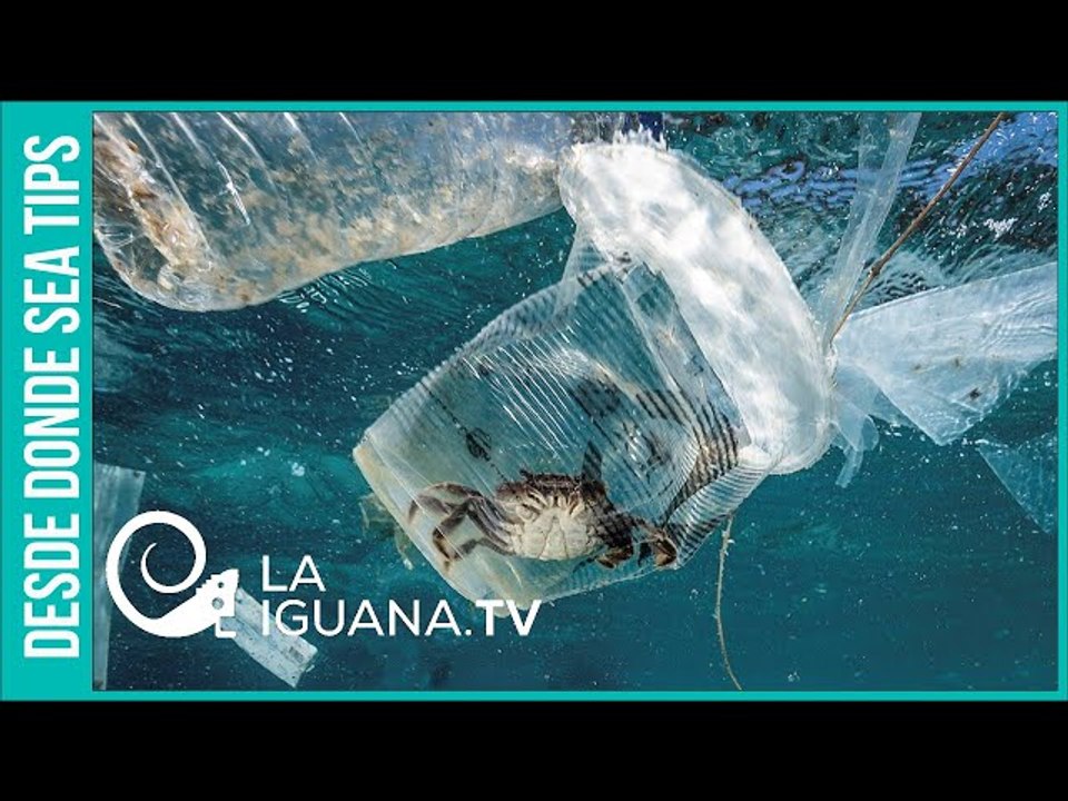 Muchas promesas y pocos hechos: La cuenta regresiva de la destrucción del planeta no para