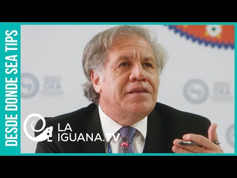 ¡Fe de vida de Almagro! OEA emitió comunicado sobre re-democratización en Venezuela