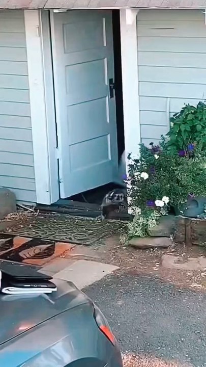 Voici ma nouvelle vidéo