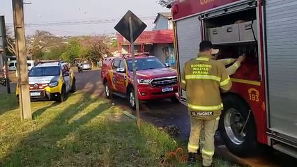 Criança é atacada por Pitbull no bairro Morumbi
