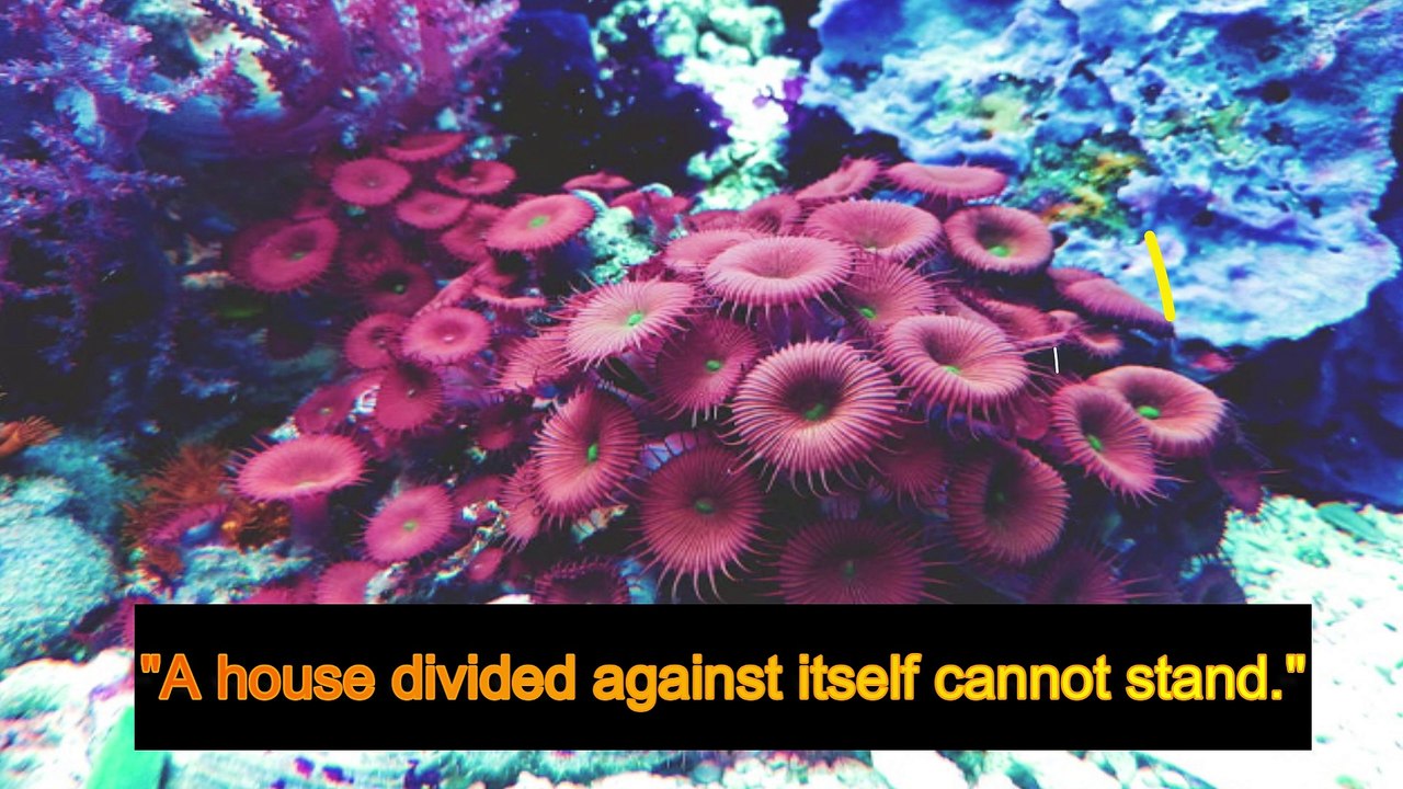 The Emancipator Abraham Lincoln’s Fight for Freedom