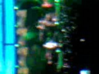 concert tokio hote bercy le 09.03.08