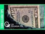 ¿Es reversible la dolarización en Venezuela? Esto dice la economista Pasqualina Curcio