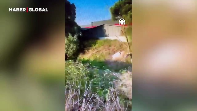 Çevreyi kirleten firmaya üçüncü kez ceza