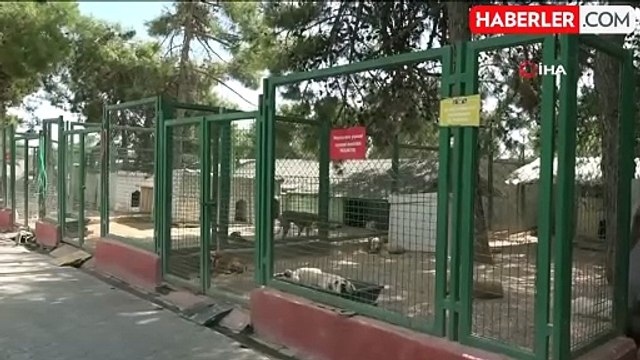 AYM, Hayvanları Koruma Kanunu'nda Değişiklik Yapılmasına Dair Kanun'u İnceleyecek