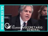 Caso Almagro vs. Bolivia: ¿Es la OEA una fábrica de golpes de estados en Latinoamérica?