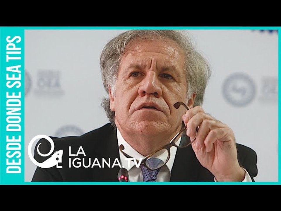 Con las manos llenas de sangre: ¿Bolivia plantea juicio a Luis Almagro por apoyo al golpe de estado?