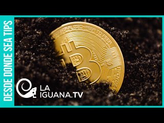 ¿Futuro sin bitcoin? Regulaciones medioambientales pueden enterrarlo por su alto consumo de energía