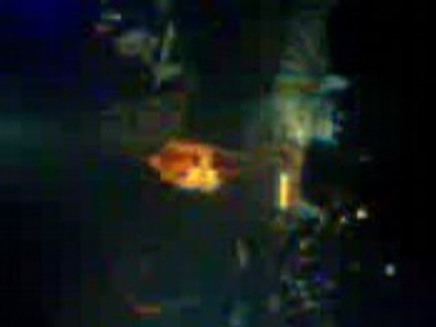 concert panic ! at the disco 06.03.08