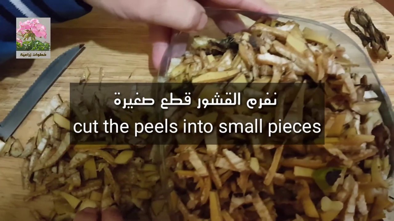 أقوى سماد مغذي للنبات - الجزء الاول - The most powerful plant nutrient fertilizer- part one
