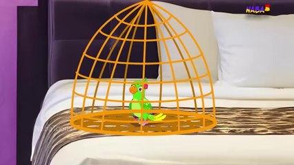 Talking parrot cartoon