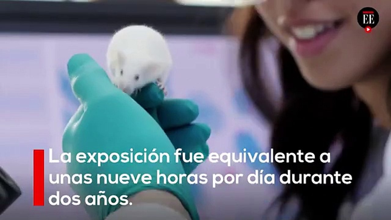 Conclusiones del mayor estudio sobre celulares y cáncer