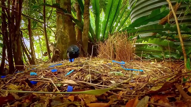 The History of Museums: Crash Course Art History