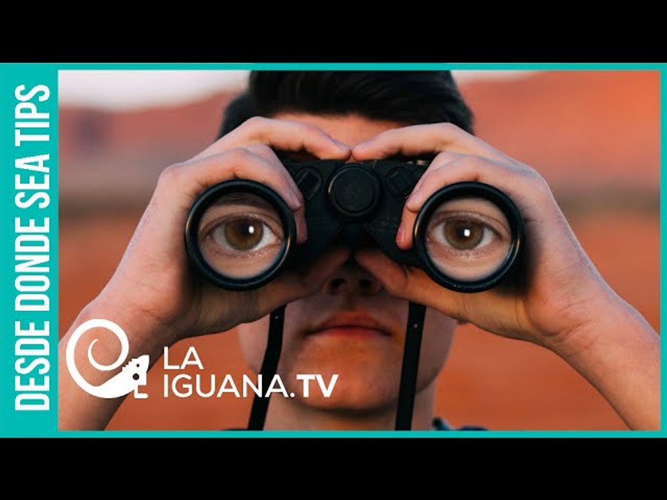 ¿Continúan espiando? Desarrollador de Pegasus ni afirma ni niega que siga el espionaje