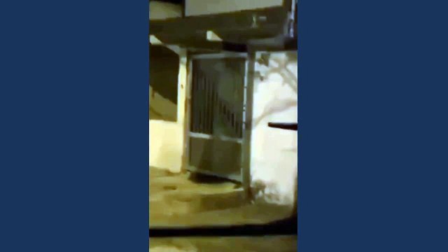 Vídeo mostra mulher sendo atacada por pitbull enquanto apanhava de companheiro em Peruíbe