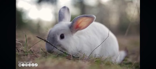 Cute bany #Virel video#