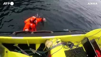 Norvegia, morto il beluga che "comunicava" con gli umani