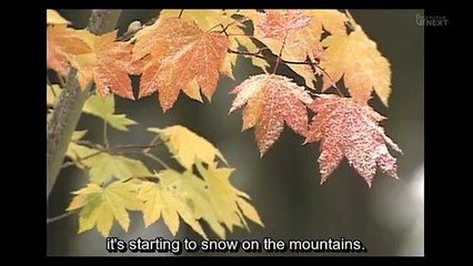 Oregon Kara Ai - オレゴンから愛 - E10