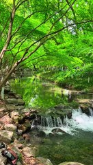 Nature #18