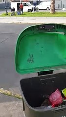 Walking Around Santiago, Chile. P6