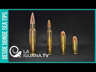 Alerta: ¿Ultraderecha venezolana guarda bajo la manga un plan para asesinar a dirigentes políticos?