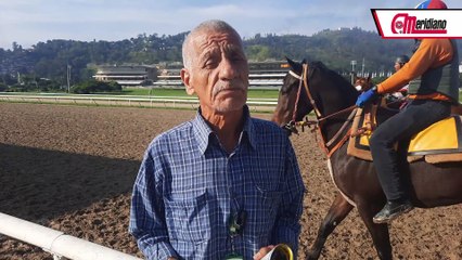 Hipismo con Luis Rosendo: Tu Entrenador de Confianza 🐎