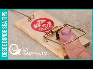 "¡Fraude!": Derecha venezolana no estaría dispuesta a reconocer una derrota en las megaelecciones