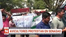 AVICULTORES PROTESTAN EN SENASAG