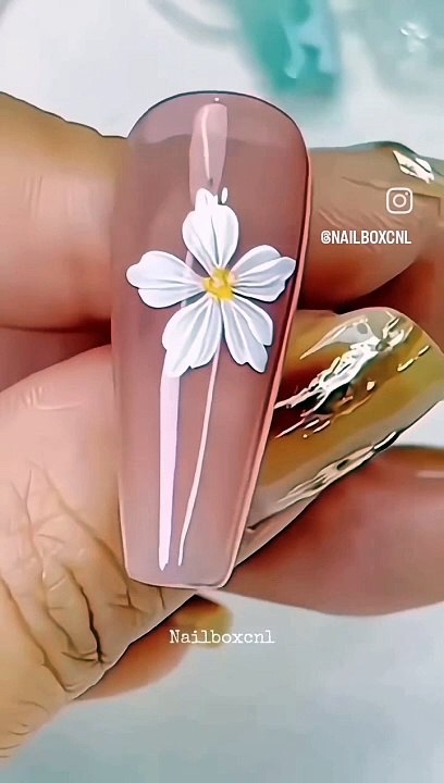 Nail Designs