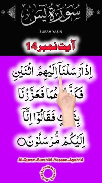 Al-Quran - Surah 36 - Yaseen - Ayah 14 | daily tilawat quran | hafiz salman ali