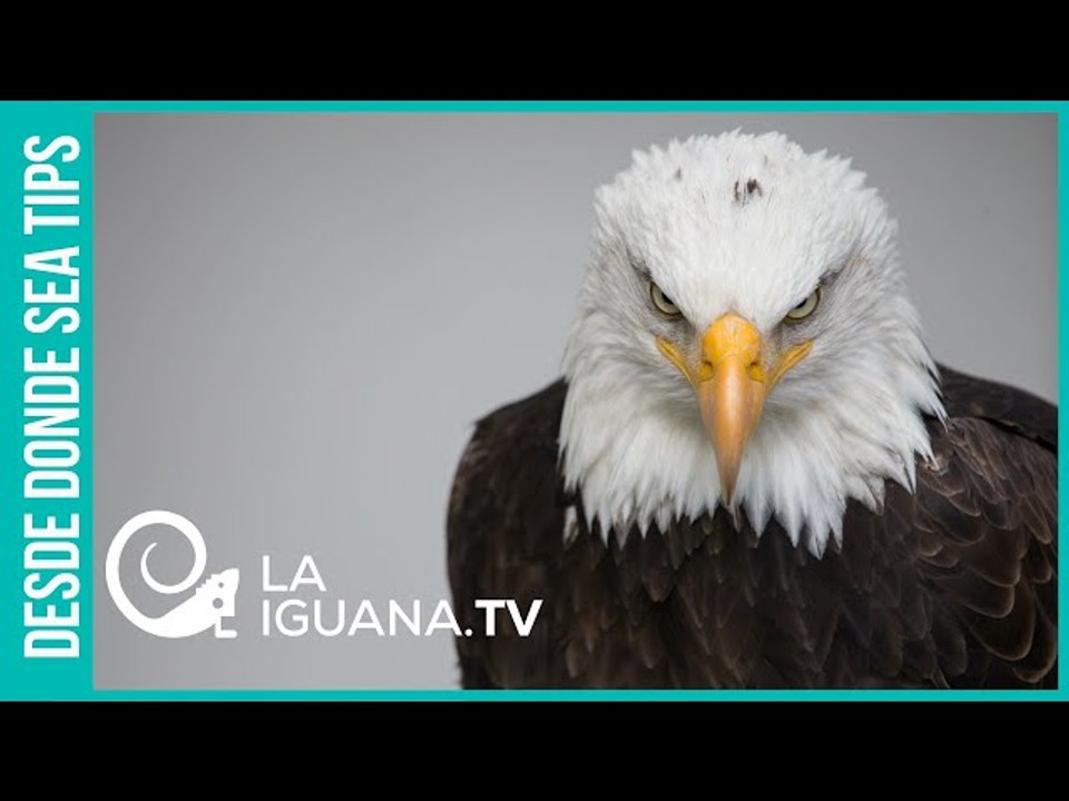 El delirio de EEUU: Dominar a toda América y al mundo para llevar la justicia y la democracia