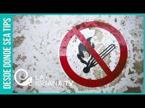 Líneas rojas: Moscú se planta ante el peligroso expansionismo de la OTAN hacia sus fronteras