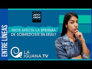 Las drogas legales que hacen posible el sueño americano (+Pandemia)