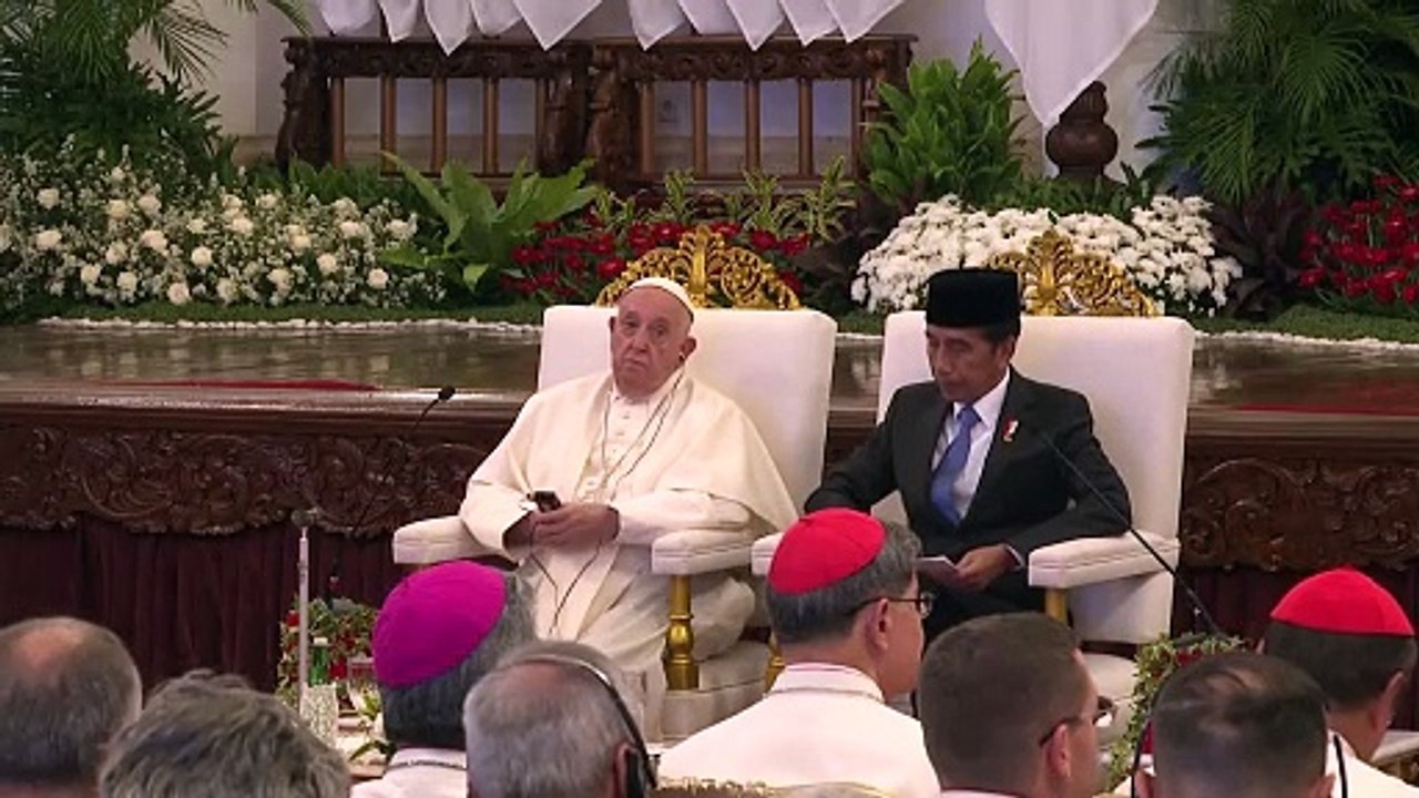 El papa lamenta que algunos prefieran tener “un gato o un perrito” en vez de hijos