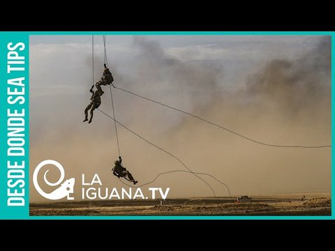 Bases rusas en suelo venezolano: ¿Qué dice la Constitución de la República Bolivariana de Venezuela?