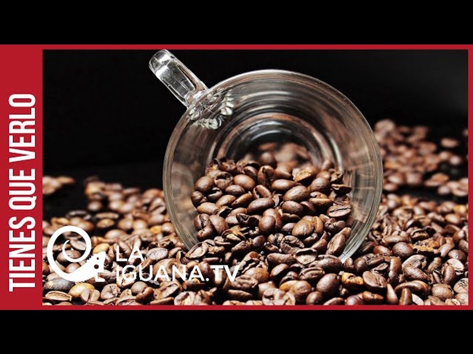 ¿Cuántas marcas de café existen actualmente en Venezuela?