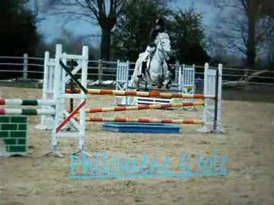 DSCF1869
