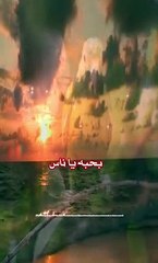 واقف ع الباب وأنا قلبي داب   #الشيخ_مصطفي_جمال