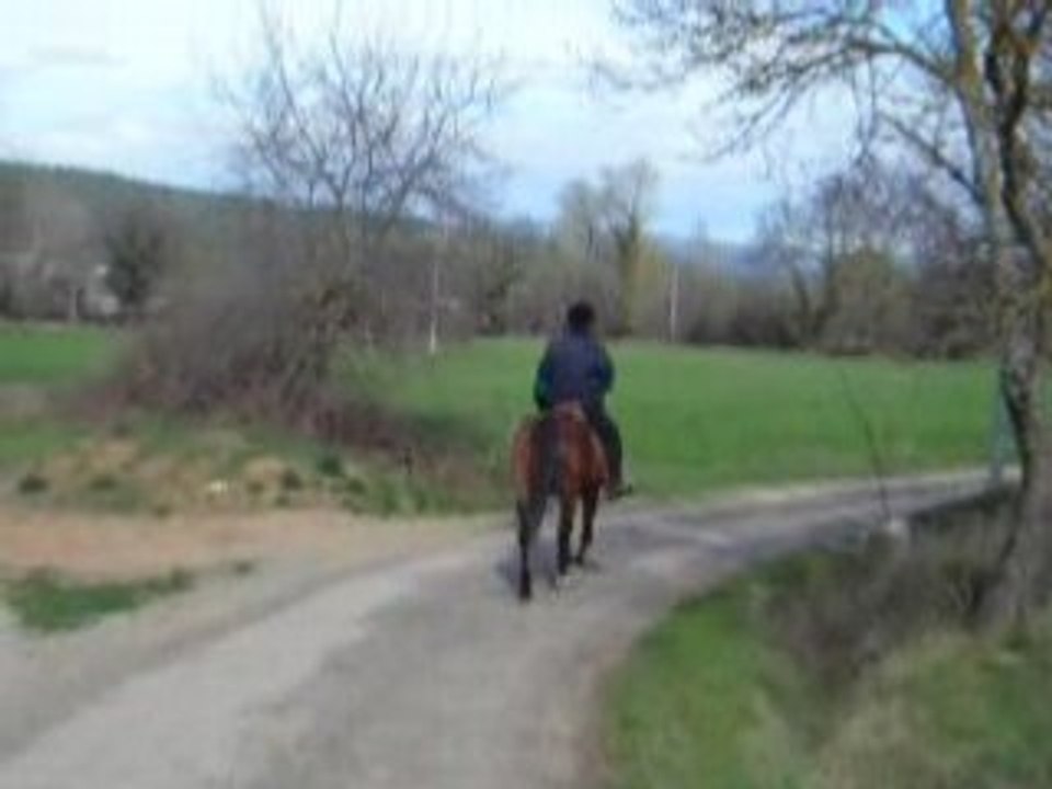 Anthares devant très zen