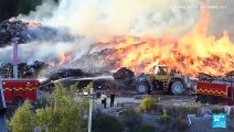 La ‘reina de la basura’ va a juicio en el mayor caso por delitos medioambientales en Suecia