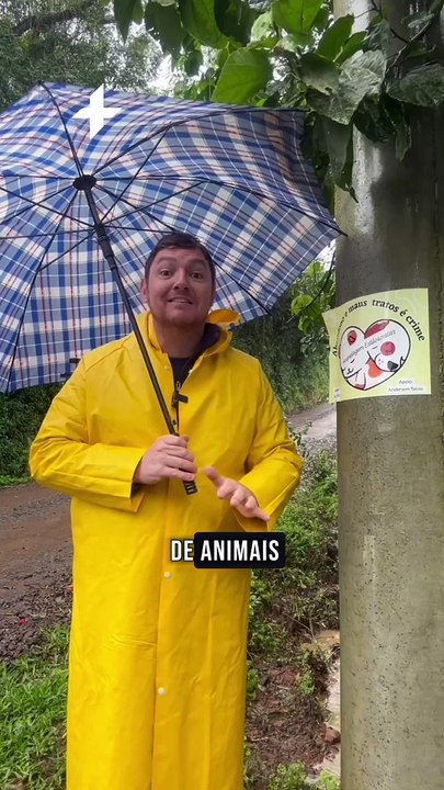 "Abandonados para morrer": ABC nas ruas atende apelo de protetores de animais preocupados com número de cães abandonados em Novo Hamburgo