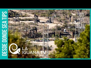 Pelearán por barriles: El terrible vaticinio sobre el precio del petróleo si continua boicot a Rusia