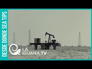 Gringo pidiendo cacao: Crisis energética llevó a EEUU a sentarse con Maduro ¿Qué pasó en la reunión?