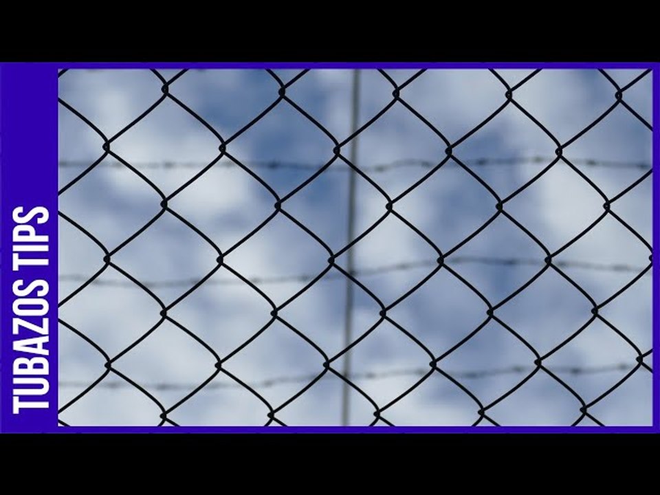 El dato: Diputada que trataba con carteles colombianos recibió $ 1.8 millones