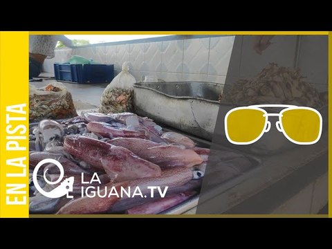 Venta de Pescado en Boca de Río: Precios en dólares, costos por gasolina (+Sucre)