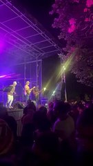 Orchestre Clin d'Oeil  Captivating Musical Show  French National Day  #music #musica #show (16)