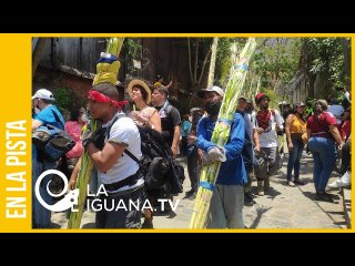 Palmeros de Chacao: Tradición, religión y estilo de vida