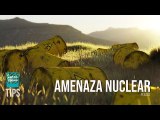 ¿Cuáles son los verdaderos bandos en un escenario nuclear?